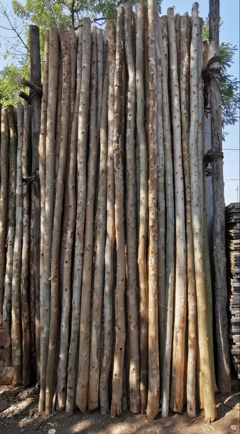 Shuttering Ply