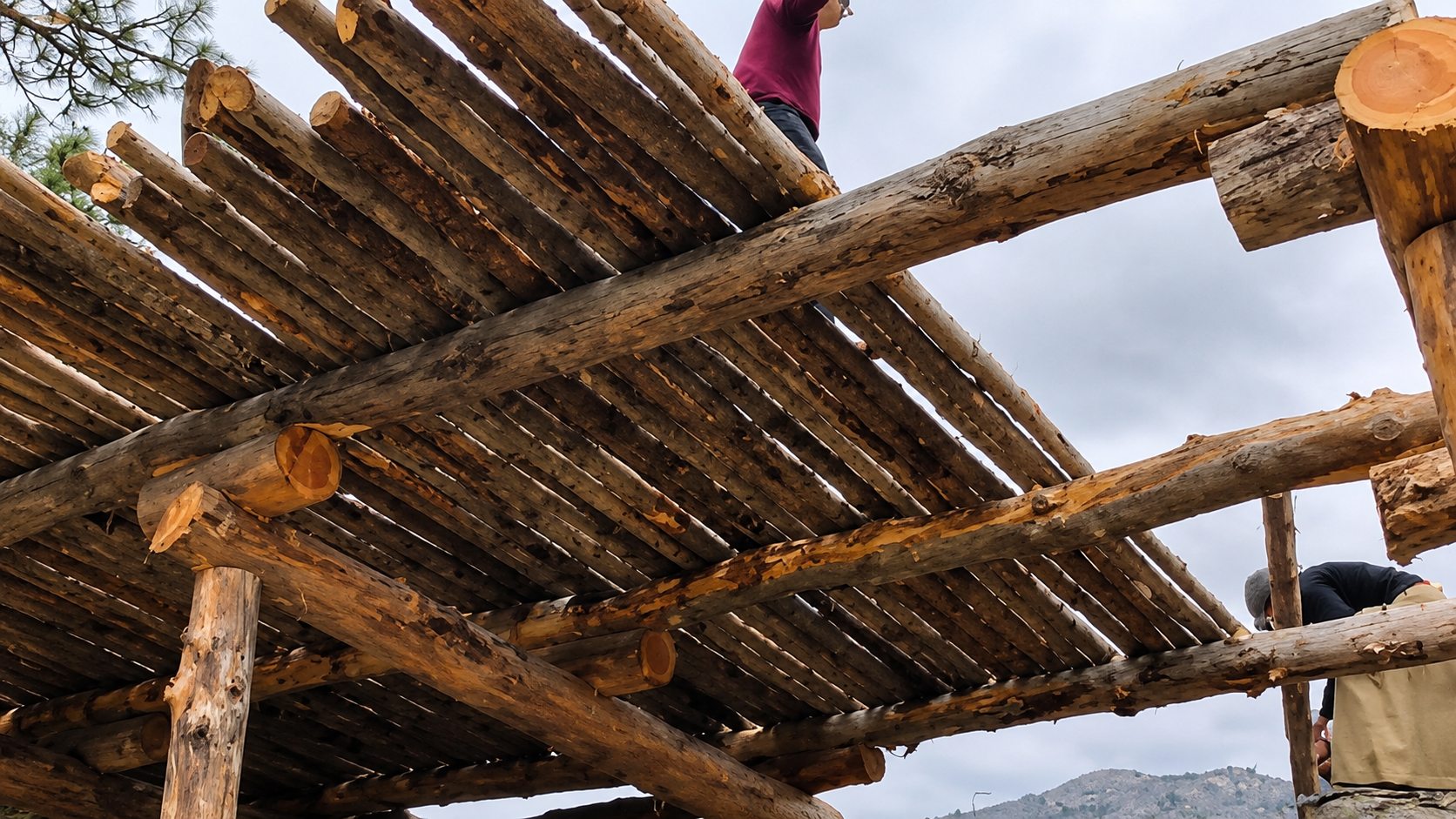 Nilgiri Wooden Poles Surat