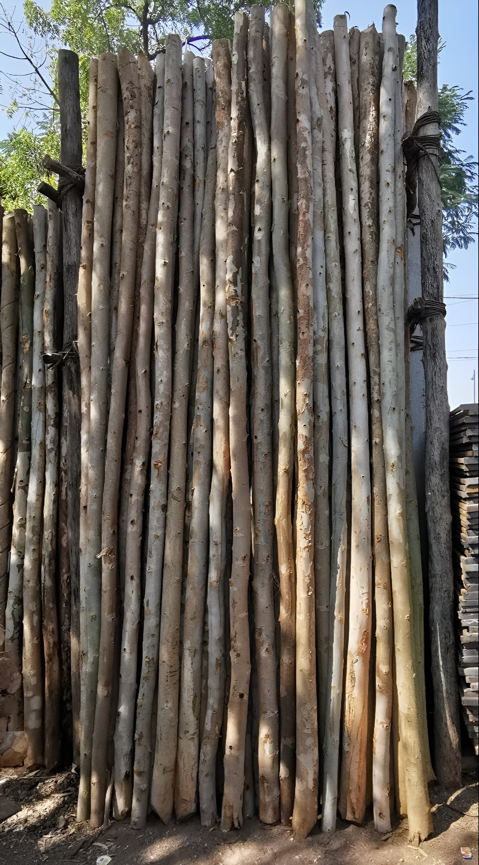 Nilgiri Wooden Poles